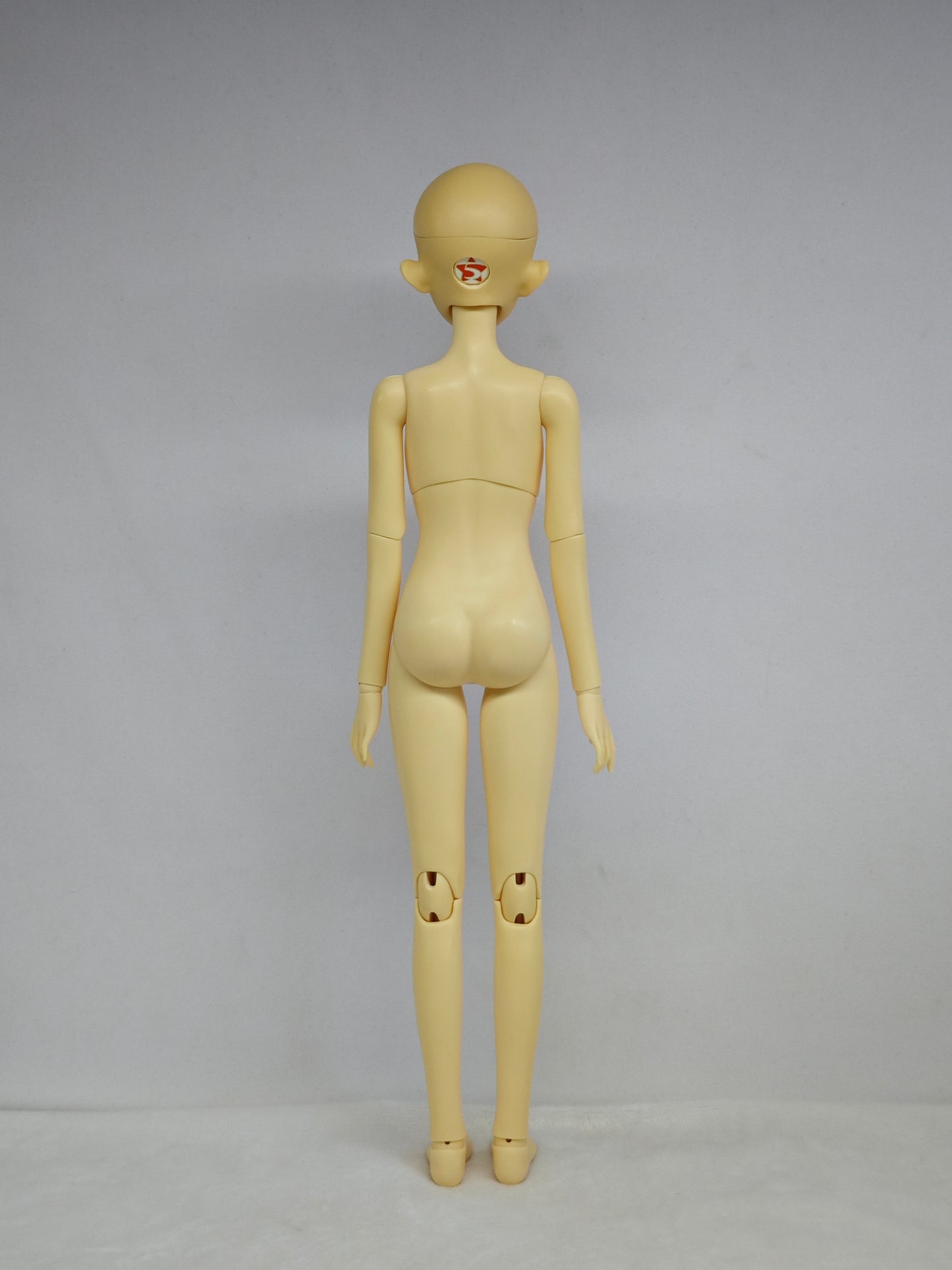 1/4 girl doll Elaine in normal skin with fullset