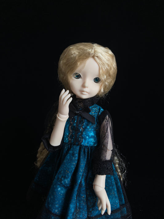 1/6 bjd doll Anna with shown items